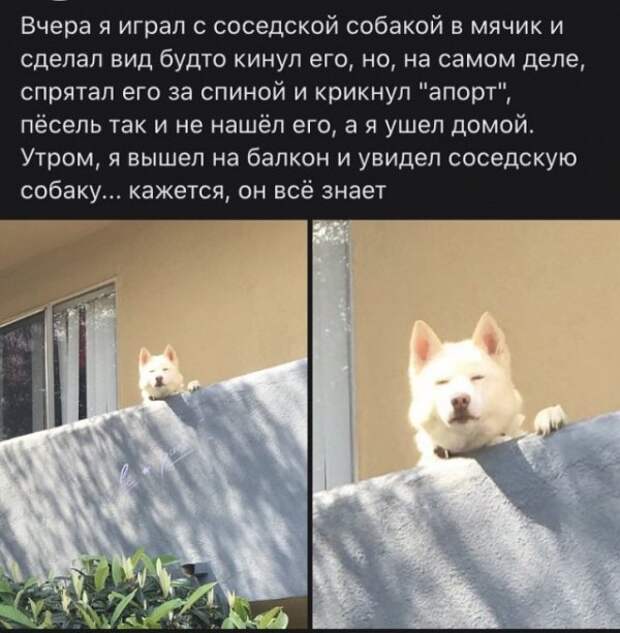 Прикольные картинки абавсём:D