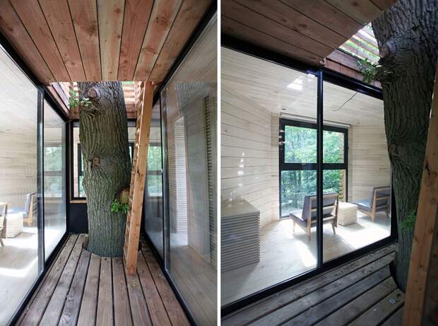 modern-architectural-wood-tree-house-170118-1246-04