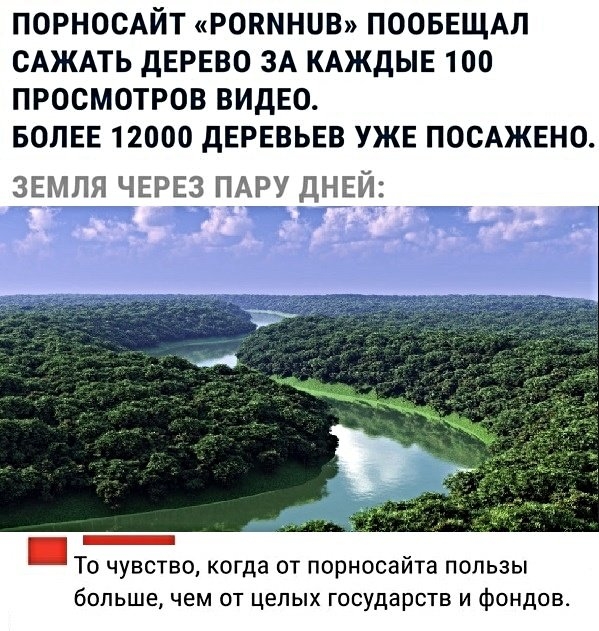 Картинки с надписями, истории и анекдоты