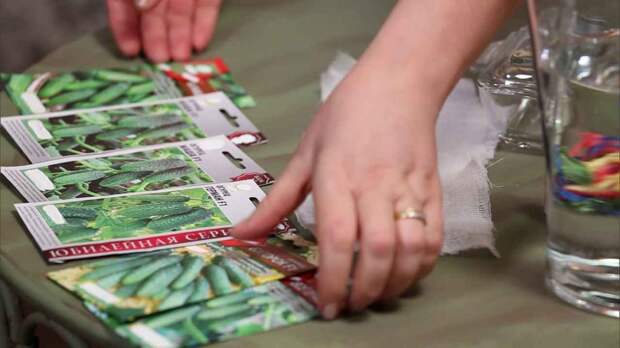 Маркировка семян