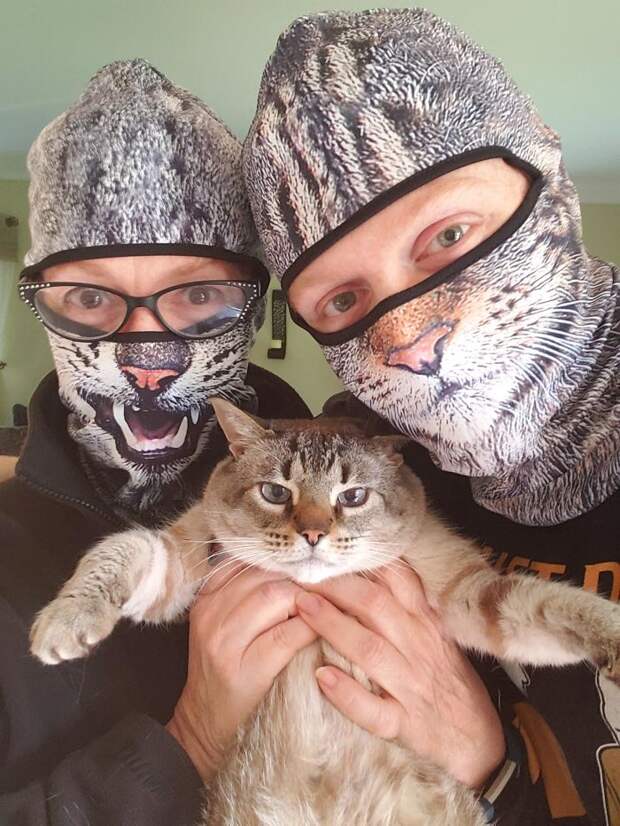 Грядущей осенью самыми модными станут маски с кошечками!