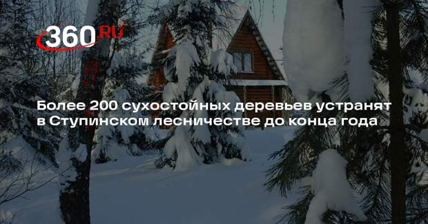 Более 200 сухостойных деревьев устранят в Ступинском лесничестве до конца года