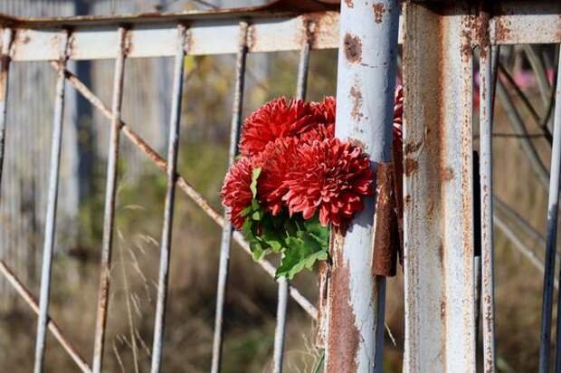 В Москве мужчина скончался на могиле своей жены