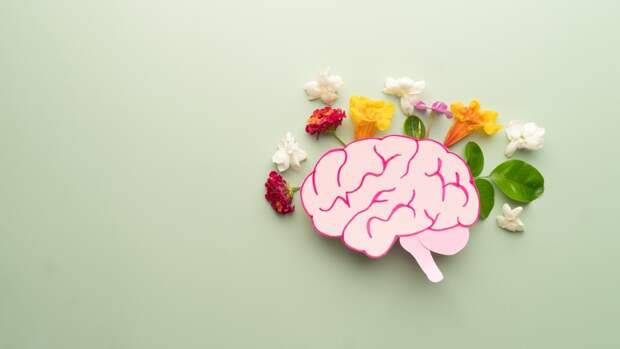 Ученые объяснили, почему внезапно всплывают воспоминания и дежавю