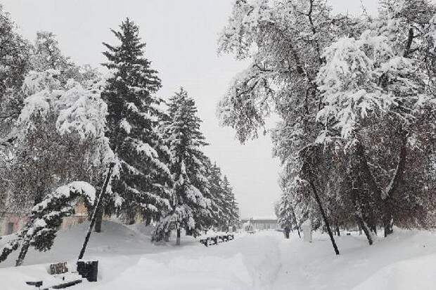 В Тамбове объявили экстренное предупреждение из-за сильного снегопада