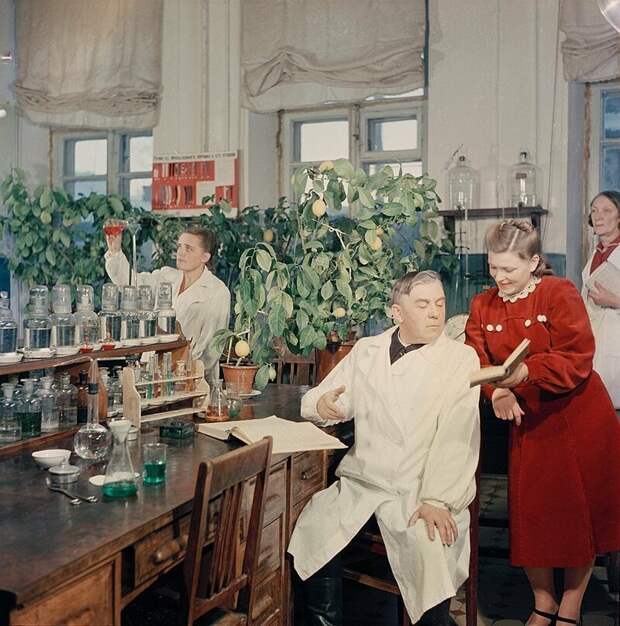 В Павлове на Оке комнатные лимоны можно встретить везде, даже в химической лаборатории, фото А. Рощупкина, 1952 г. СССР, фото, это интересно