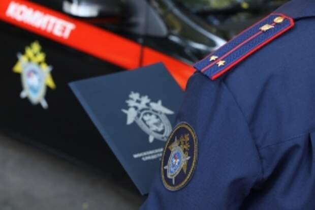 Главе ведомства представят доклад о расследовании уголовного дела по факту травмирования женщины в результате падения наледи в Санкт-Петербурге