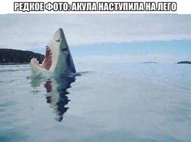 Новые прикольные фотомемы (28 шт)