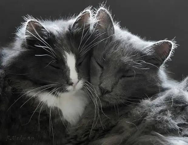 ������� ���� �� ��������� �� ������ ���������