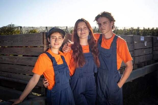 Губернатор Кондратьев поздравил с праздником кубанских студотрядовцев