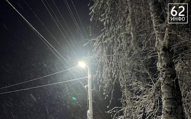 МЧС: в Рязанской области до утра 23 февраля сохранится ветер в 17 м/с