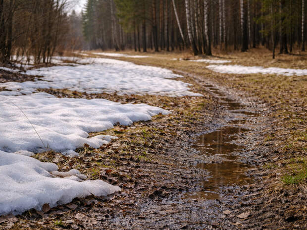 Снег уходит: в ряде городов Подмосковья зафиксировали минимальный покров