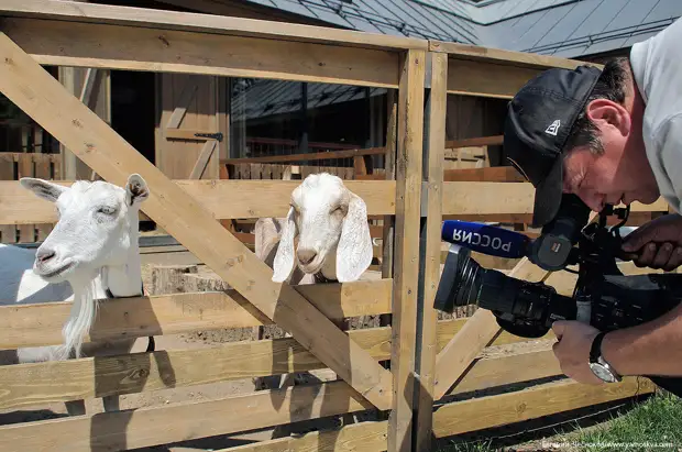 8 ������ 2019 ����/ � 1939 ���� �� �������� ��������� ������ ��������� �������������� ������� � ������� ������� ���������, � �� ������ ��������� ������, ��������� ���� ��� �������������� ������.-74