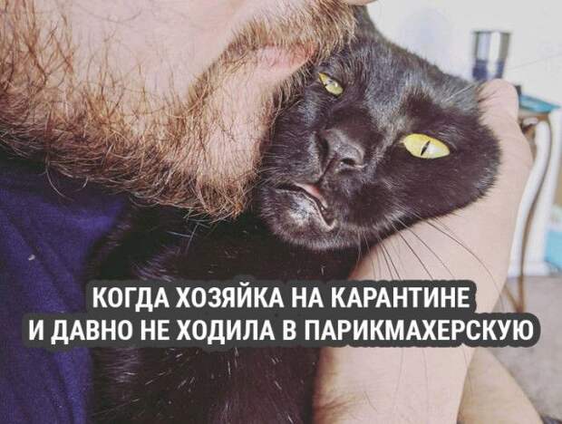 1587051714_kartinki-11.jpg