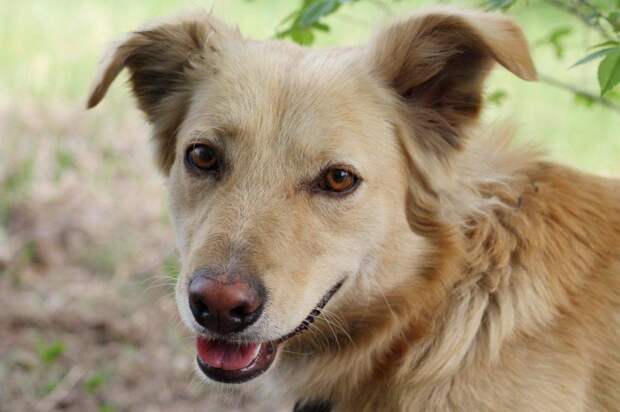 ​​​​​​​20 декабря в Москве состоится «Ёлка Дарящих надежду 2025»