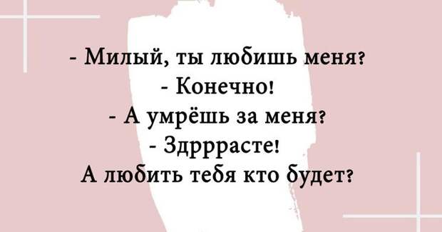 Двадцать отборных шуток, которые непременно поднимут настроение