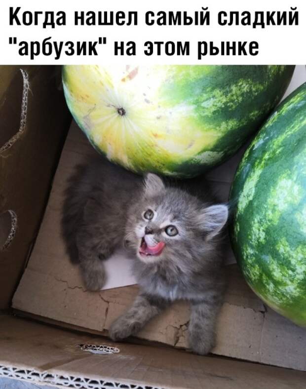 Подборка картинок. Вечерний выпуск (30 фото)