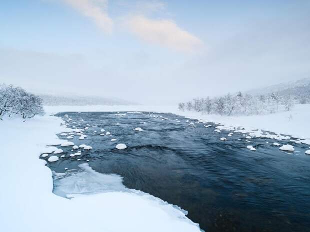 Найдено тело 12-летнего Ивана Позднякова, утонувшего в реке в Звенигороде