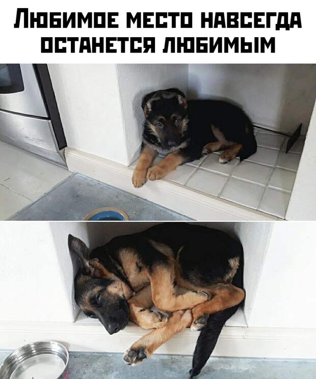 www.vsyako.net