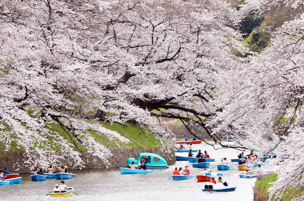 Лодки в парке Чидоригафучи в Токио