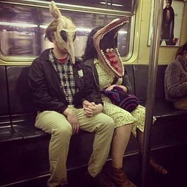 Прикольные картинки