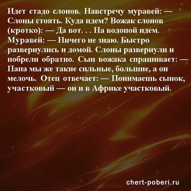 Самые смешные анекдоты ежедневная подборка chert-poberi-anekdoty-chert-poberi-anekdoty-39270421092020-18 картинка chert-poberi-anekdoty-39270421092020-18