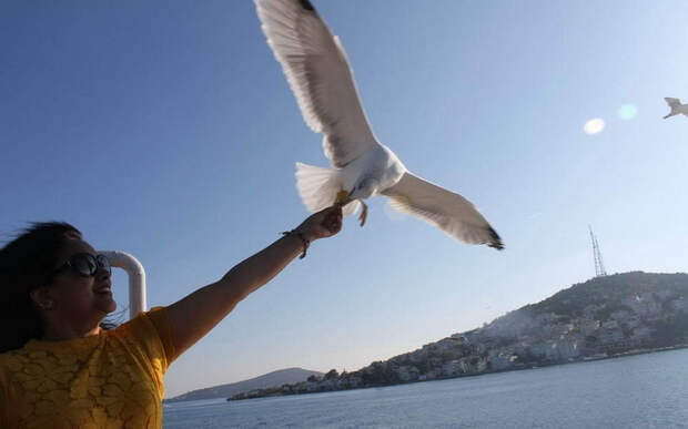 689c9a6a71fe (700x438, 170Kb)