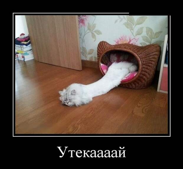 Демотиваторы (30 фото)
