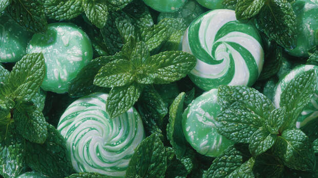 «Своего рода трюк»: почему мы чувствуем холод из-за мятных конфет