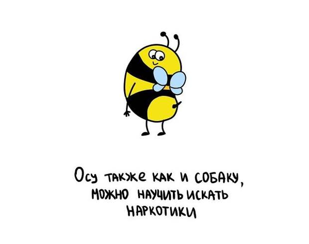 Короткие интересные факты обо всём