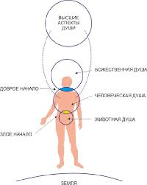 Составляющие душа. Где находится душа человека. Структура души. Где находится душа в теле человека. Строение души человека.