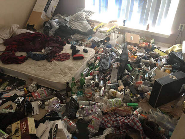 Они вывели беспорядок в комнате на совершенно другой уровень