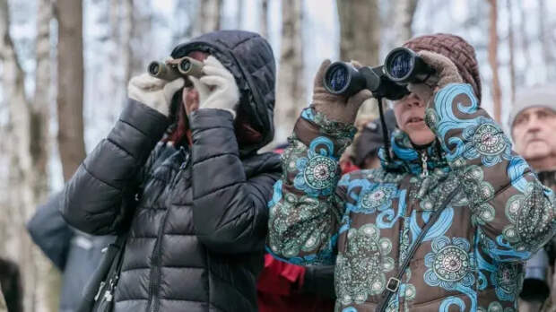 В парках Красногвардейского района организуют бесплатные орнитологические экскурсии