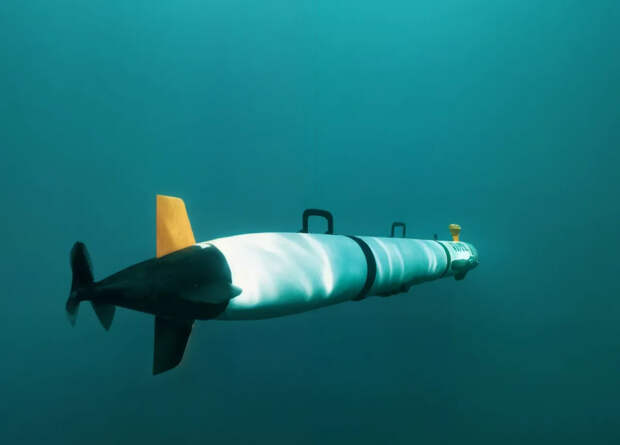 В США разработают комплекс запуска и возврата подводных беспилотников REMUS