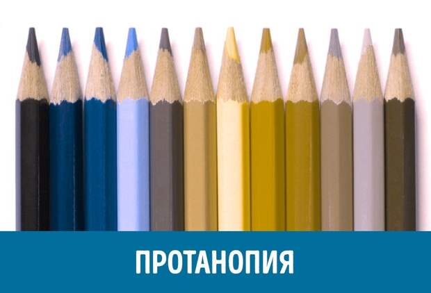 Как видят мир люди с разными формами дальтонизма