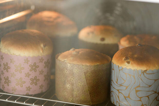 В Румынии водитель превысила скорость до 176 км/ч из-за подгорающих куличей