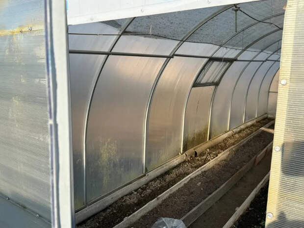 «Минус на улице, а рассада жива»: 3 способа спасти томаты в теплице без обогревателя