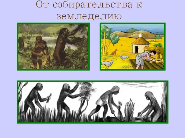 Переход к земледелию. Собирательство и земледелие. От собирательства к земледелию. Переход от охоты и собирательства к земледелию. Охота собирательство и примитивное земледелие.