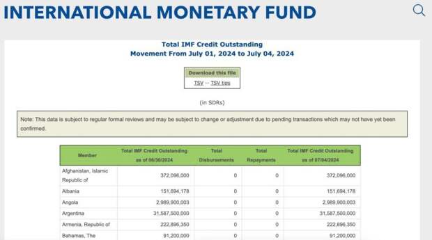 Украина вошла в топ-2 лидеров по объему долга перед МВФ