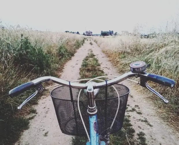 Сотрудники ГИБДД напомнили родителям рязанских школьников об опасностях на дорогах