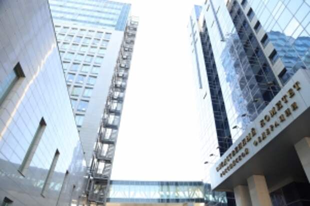 В центральный аппарат будет представлен доклад о результатах расследования уголовного дела по факту смерти ребенка в Волгоградской области