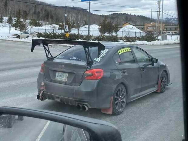 Автовсячина