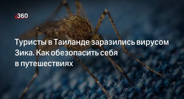 Иммунолог Болибок рассказал о симптомах вируса Зика, которым заразились туристы в Таиланде