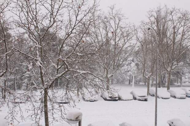 Москва установила рекорд по высоте снежного покрова за 72 года