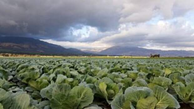 Фото: pixabay.com