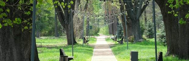 В Алматы разработают дендрологический план до 2030 года