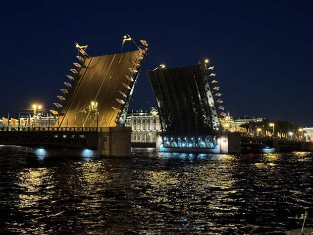 Власти Петербурга намерены увеличить количество мостов с подсветкой