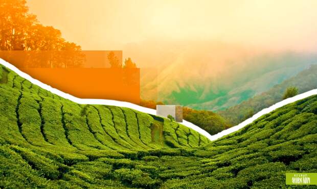 Американец и шестеро украинцев арестованы в Индии по обвинению в терроризме