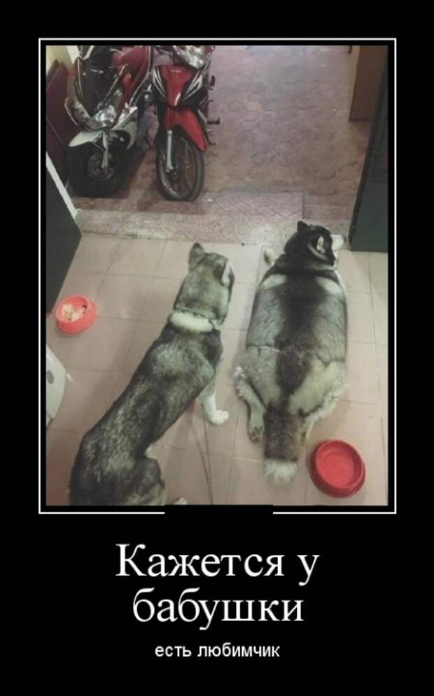 Демотиваторы (30 фото)