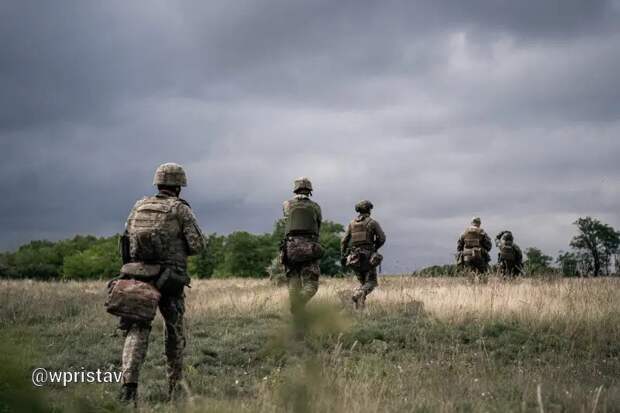 Британский эксперт: Обороняющие Красногоровку подразделения ВСУ начали покидать